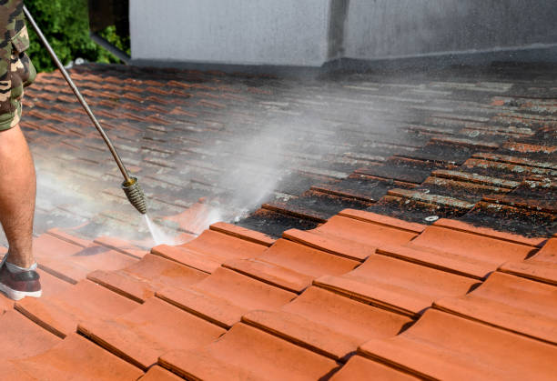 Best Affordable Pressure Washing  in Conway, FL